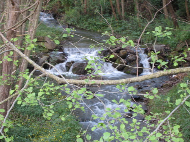foto005