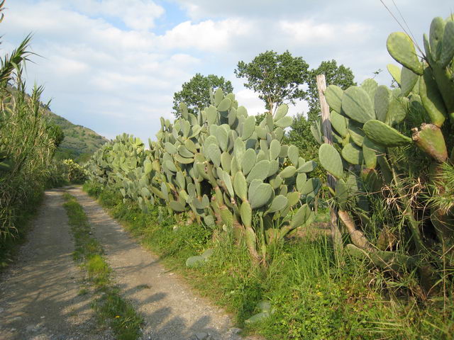 foto006