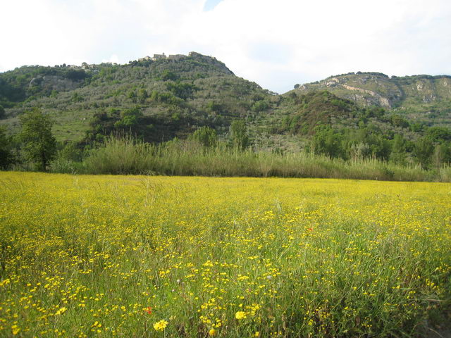 foto008