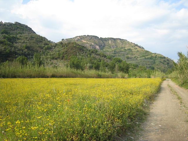 foto009