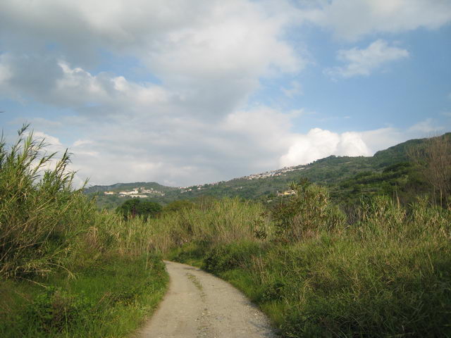 foto010
