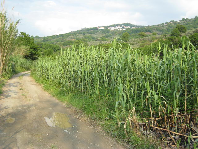 foto012