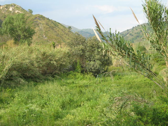 foto015