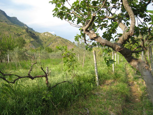 foto017