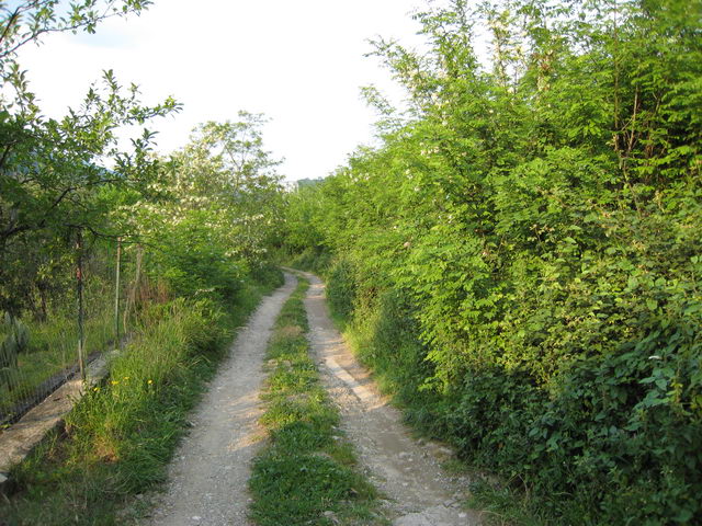 foto019