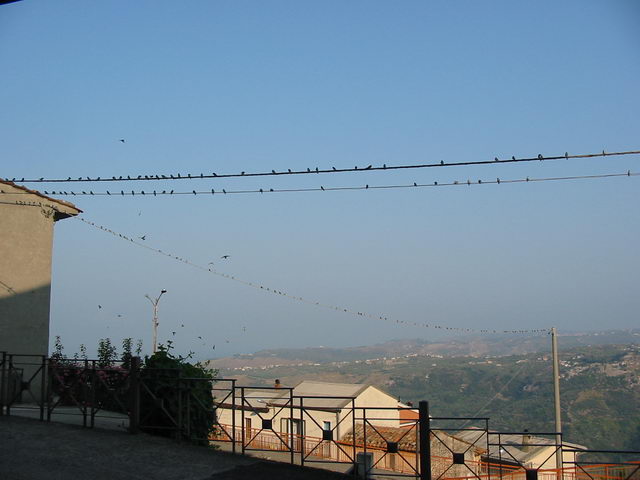 foto021