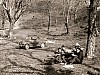 Fedele-Pasquetta67.01