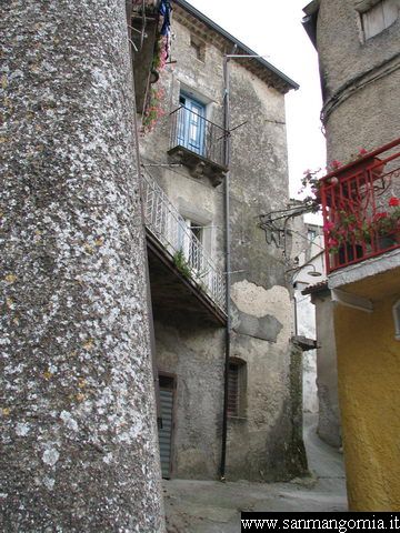 foto36