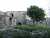 foto19